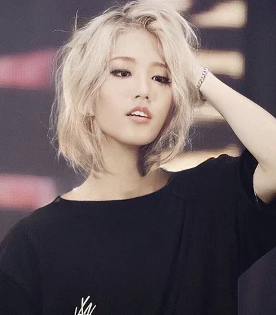 Han Jisu 