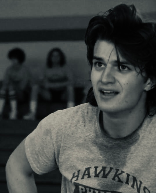 Steve Harrington 
