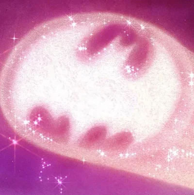 ୭  ̊. ᵎᵎ Batfamily 