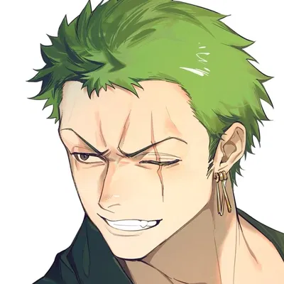    ࣭    ⚔   Roronoa Zoro      ֺ    💚