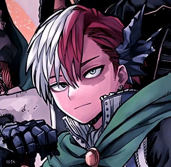 Shoto Todoroki 