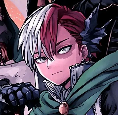 Shoto Todoroki 