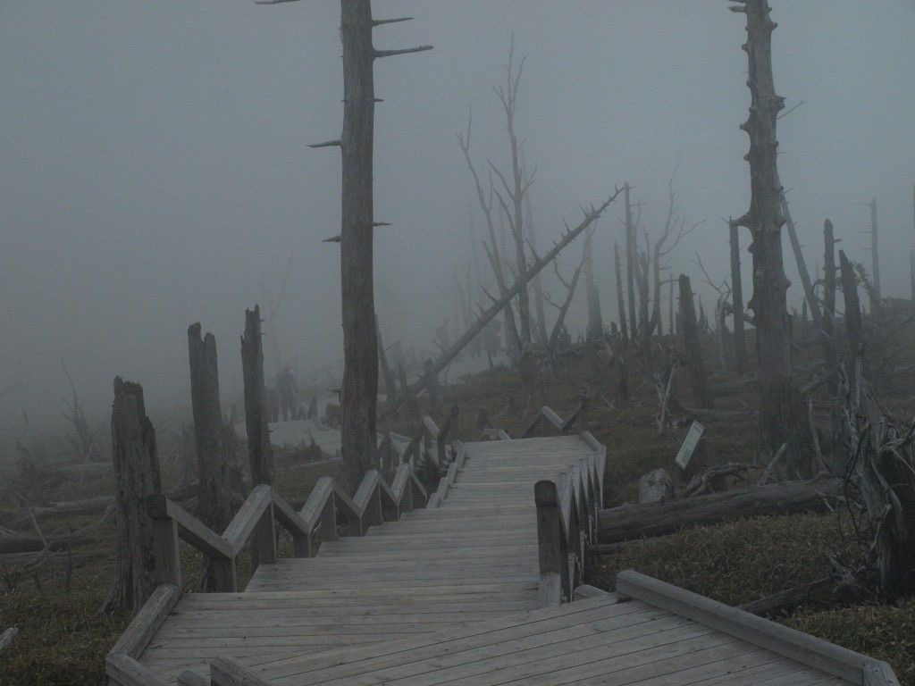 Apocalypse