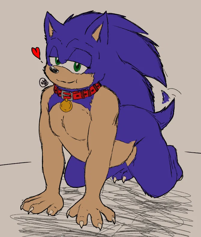 (Pet) Sonic the Hedgehog