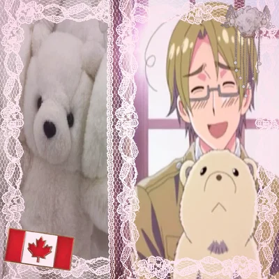 Canada // Matthew Williams