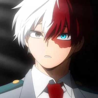 Shoto Todoroki 