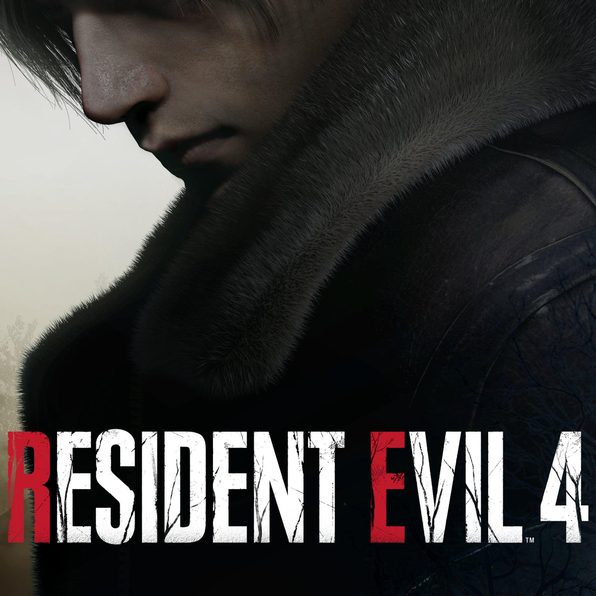 Resident Evil 4 Remake RPG