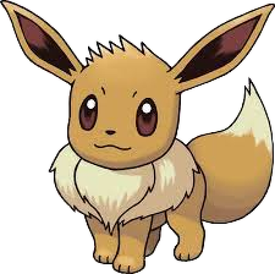 All my Eeveelutions