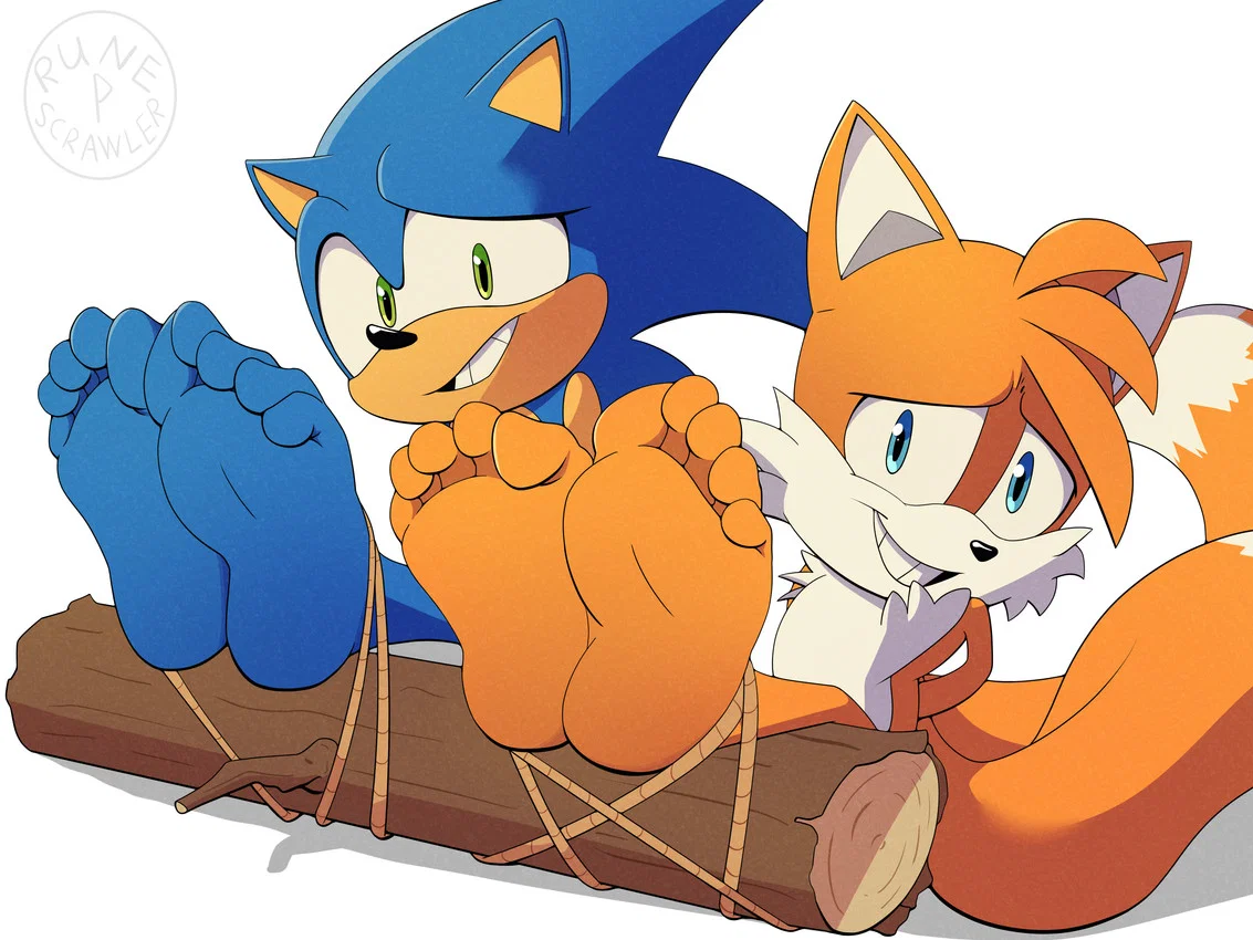Sonic and Tails Captured