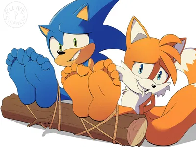Sonic and Tails Captured