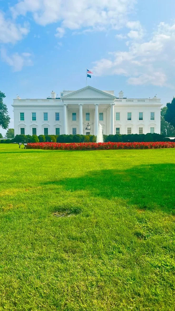 White House Rp(18+)