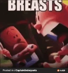 Apologies