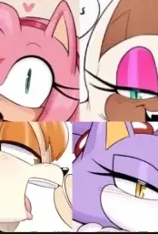 Amy and Rouge and Vanilla and Blaze V2