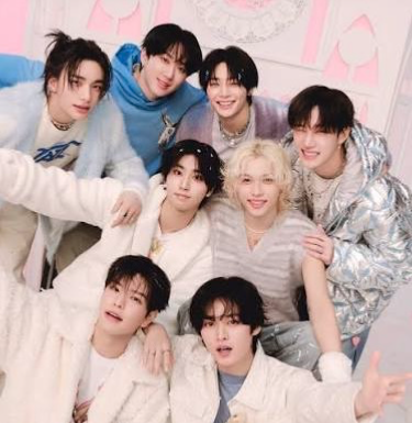 Stray Kids - 9th Member