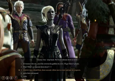 Silvanus Chosen!Verity