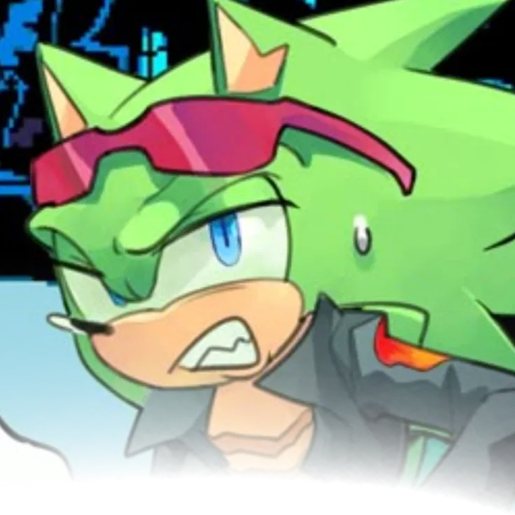       ⋆.𐙚 ̊       Scourge The Hedgehog ~ [ S. T. H]▪️