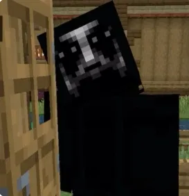 The Knocker