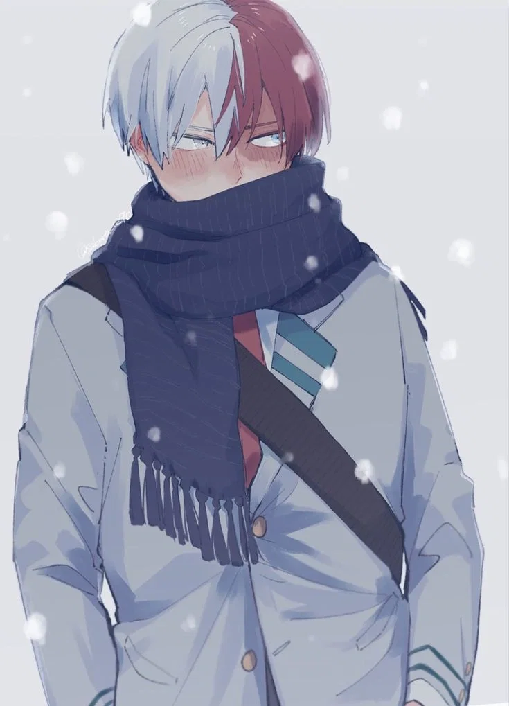 Shoto Todoroki (Shoto) ❄️🔥 || My Hero Academia || MHA 