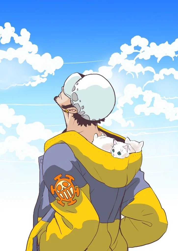 Trafalgar D. Water Law / One Piece