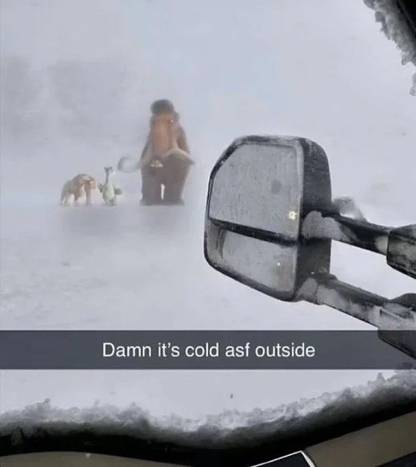 WINTER TESTING BOT