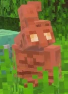 Jeff The Copper Golem