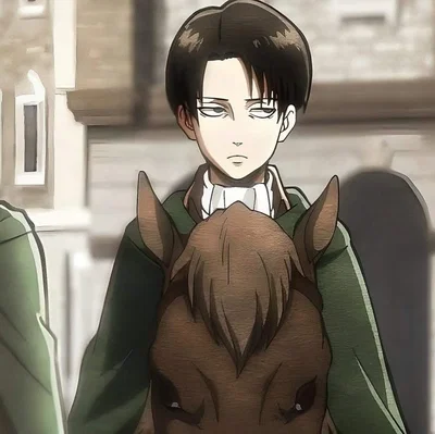 Knight Levi Ackerman