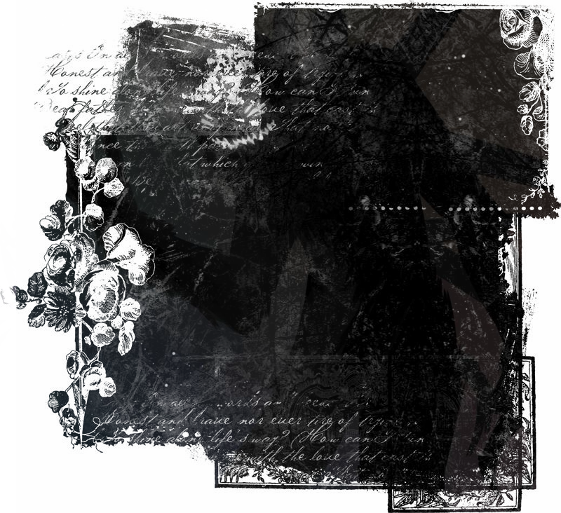 Stargazing. [The Obsessed]