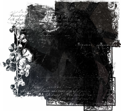 Stargazing. [The Obsessed]