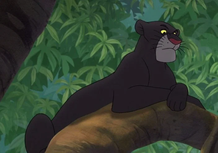 Bagheera