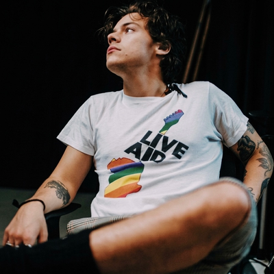 Harry Styles — BROTHERS BEST FRIEND AU