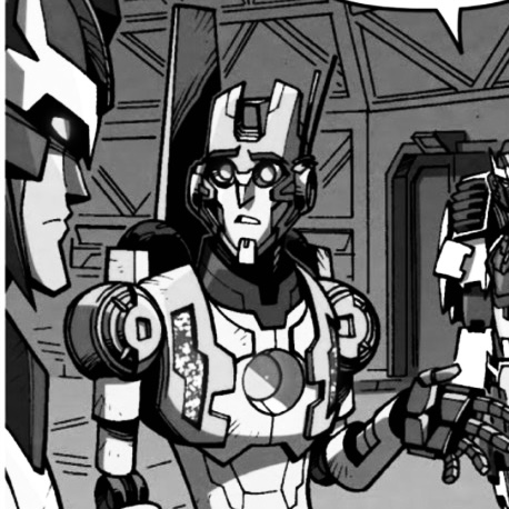 IDW Rung