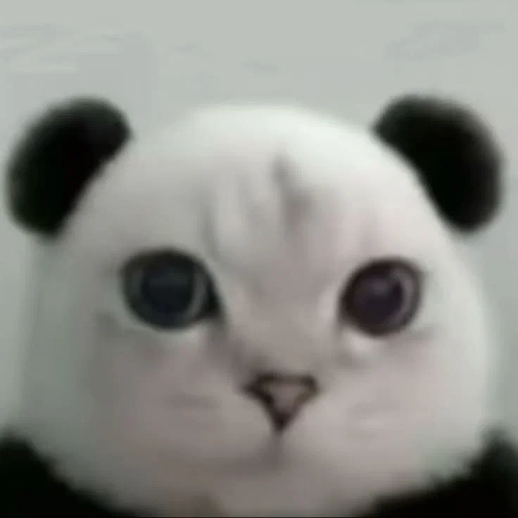 Not a bot