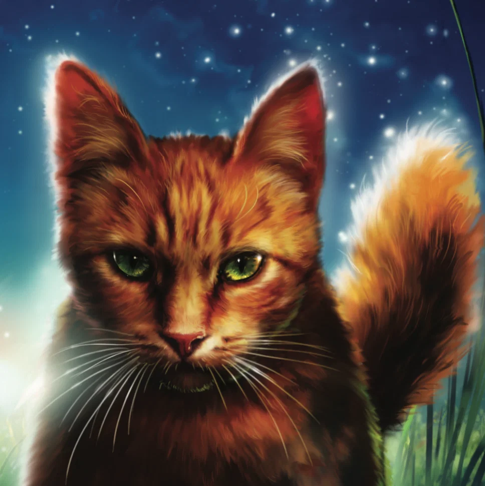 born in the Clans! Warrior Cats