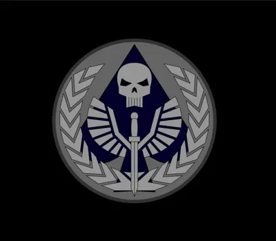 Task Force 141 - Pregnant