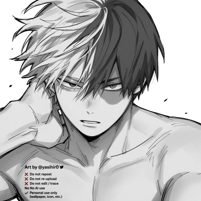 Shoto Todoroki 
