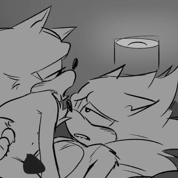 Sonic // Shadow