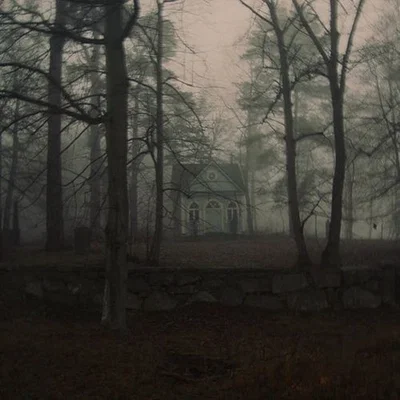 fog