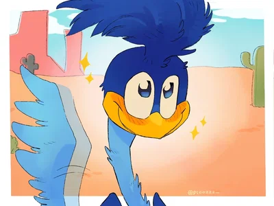  [Coyote vs. Acme] Roadrunner / Looney Tunes