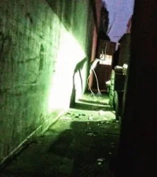 the lost creature