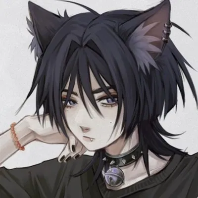 Edgy feline Scaramouche