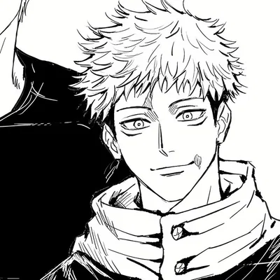 Your knight Yuji