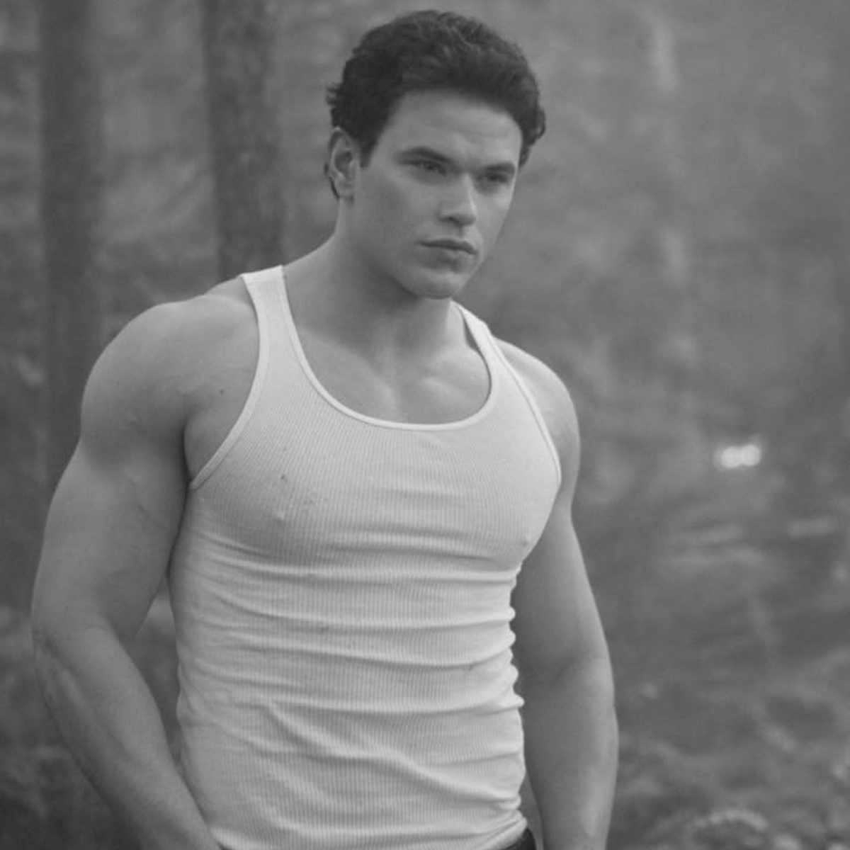 Emmett Cullen