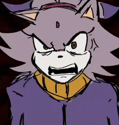Blaze and sonic...(exeVerse)