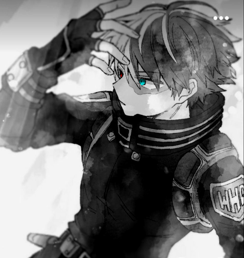 || Villain AU — Shōto 'Muhyō' Todoroki ||