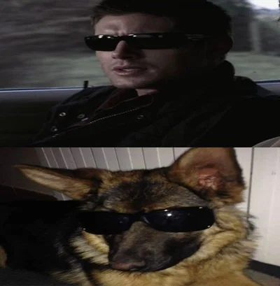 Dean Winchester || Supernatural