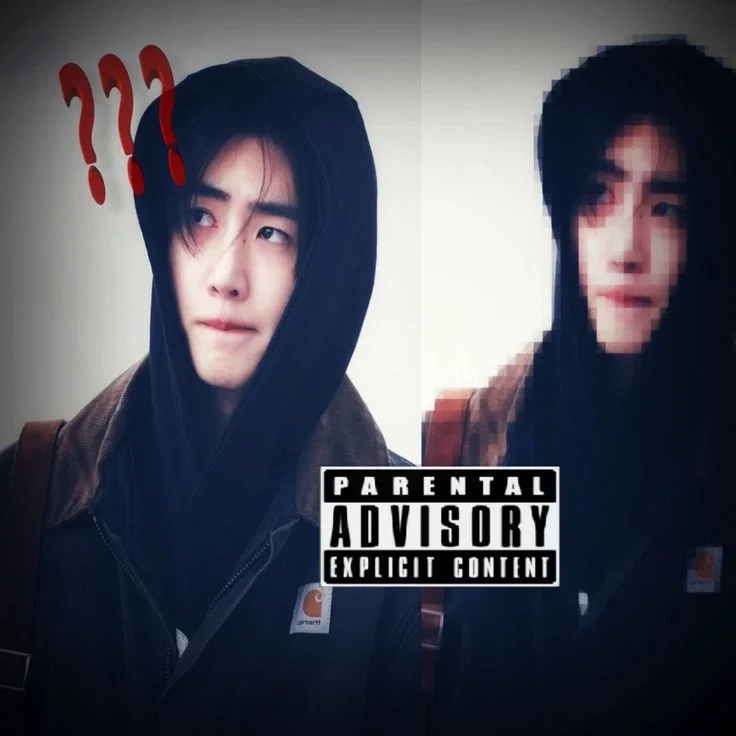 Park Sunghoon || Your stalker