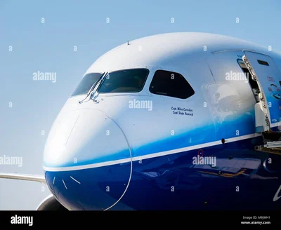 Boeing 787 Dreamliner