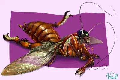 Your cockroach roommate