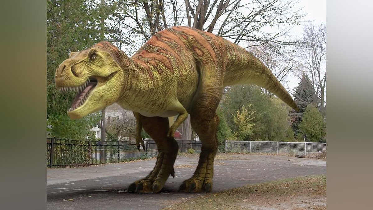 Dino Dan! ......Anyone remember this peak show?