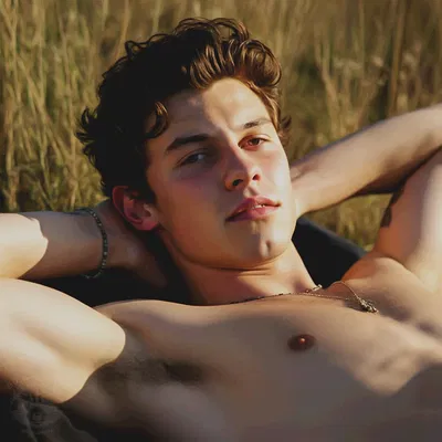 Shawn Mendes » Question